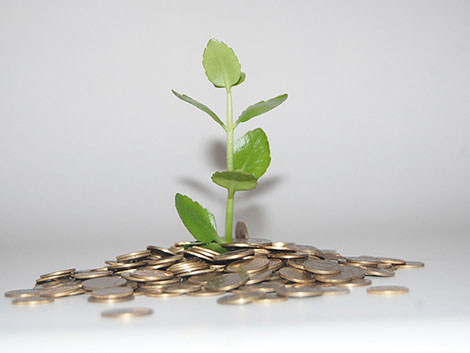 快速响应命令的在线接收云短信验证码